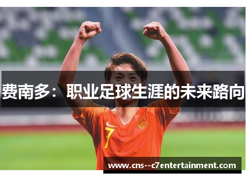 费南多：职业足球生涯的未来路向